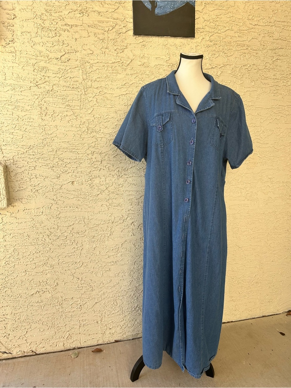 Denim Button-Front Maxi Dress